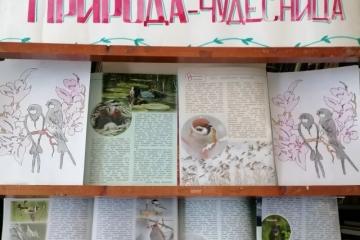 ЭКОНЕДЕЛЯ "ЧУДЕСА ПРИРОДЫ"